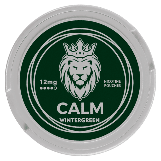 calm wintergreen top view